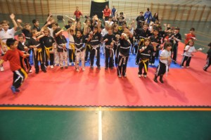 Exhibicion de artes marciales en getxo