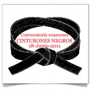 Senhido- Banner Cinturón