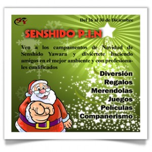 sneshido PIN